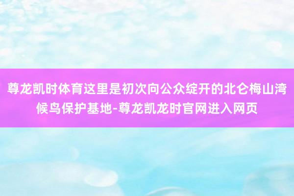 尊龙凯时体育这里是初次向公众绽开的北仑梅山湾候鸟保护基地-尊龙凯龙时官网进入网页